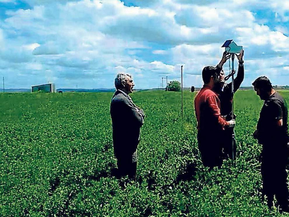 Equipo de Marcosa Riegos instalando la parte superior del equipo de sondas de humedad.