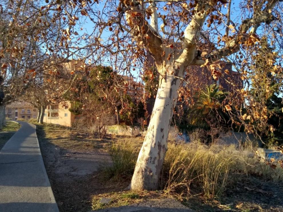 Estado actual de la zona del Canal por San José, los vecinos piden que se arregle