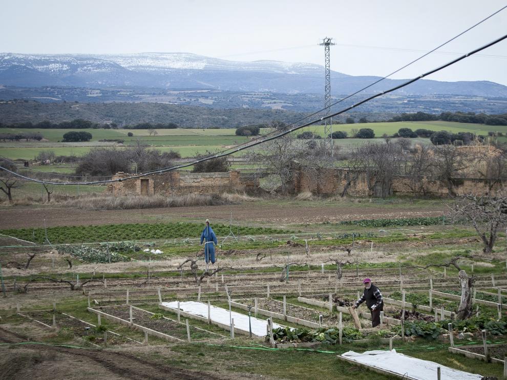 Roberto García revisa el huerto del monasterio. Al fondo, la sierra de Guara.