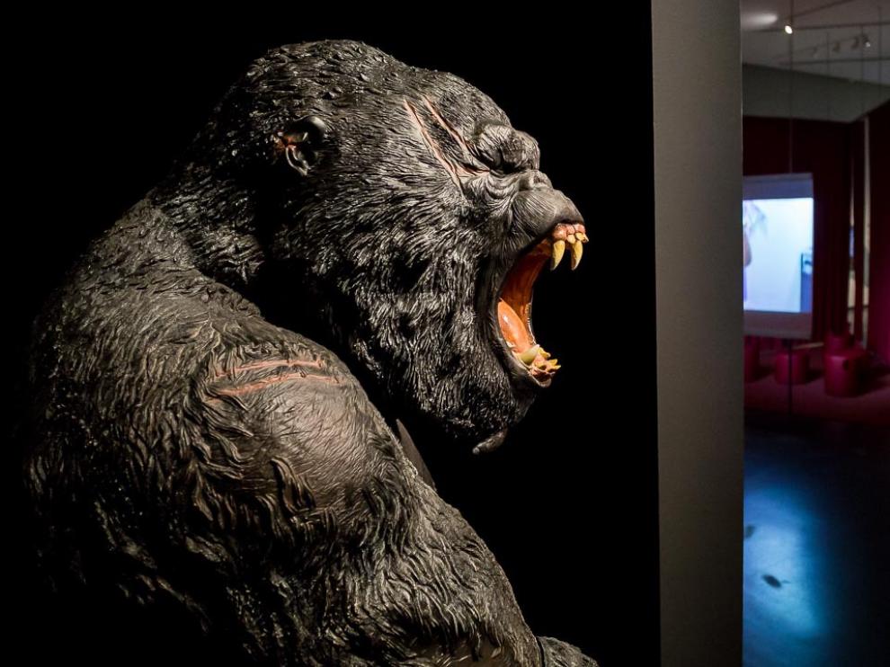 El cine y las emociones en Caixaforum Zaragoza hasta el 13 de mayo.