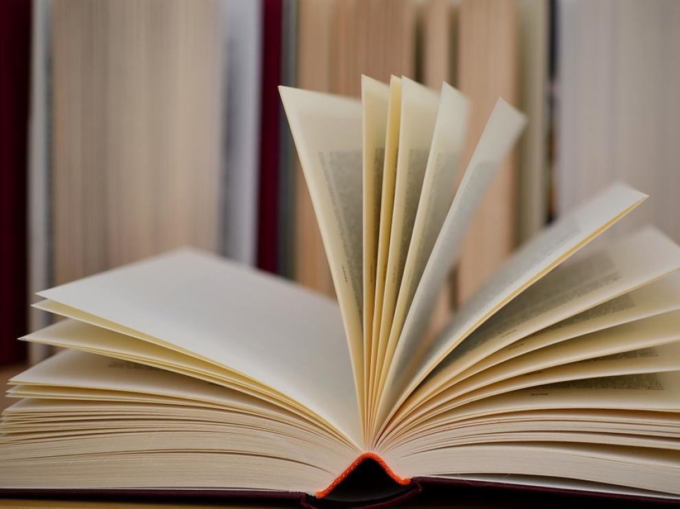 Clubes de lectura de cinco localidades participan en un encuentro en Pedrola