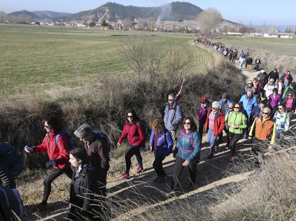 Los senderistas por los caminos de los almendros en flor