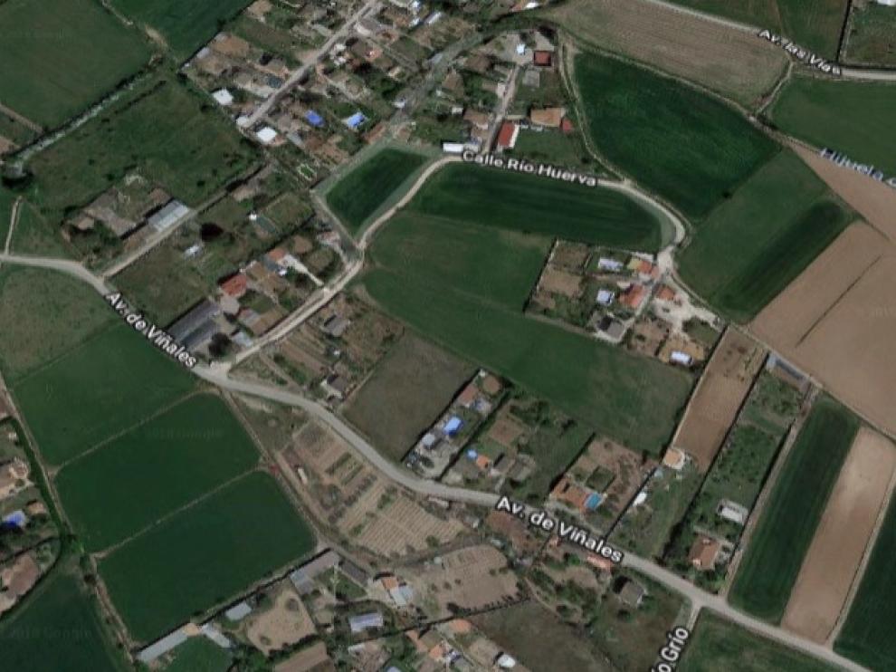 Camino Viñales en Pinseque