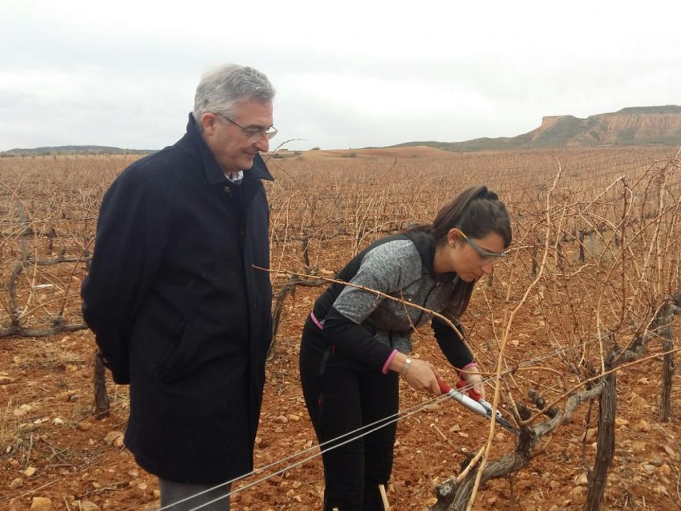 Olona visita la explotación de joven agricultora en Villanueva de Huerva