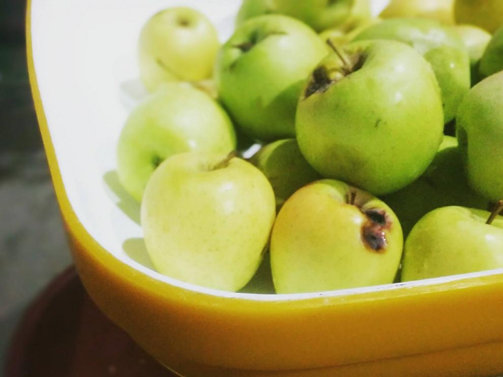 Algunas de las manzanas cultivadas por Arto, antes de convertirse en sidra.