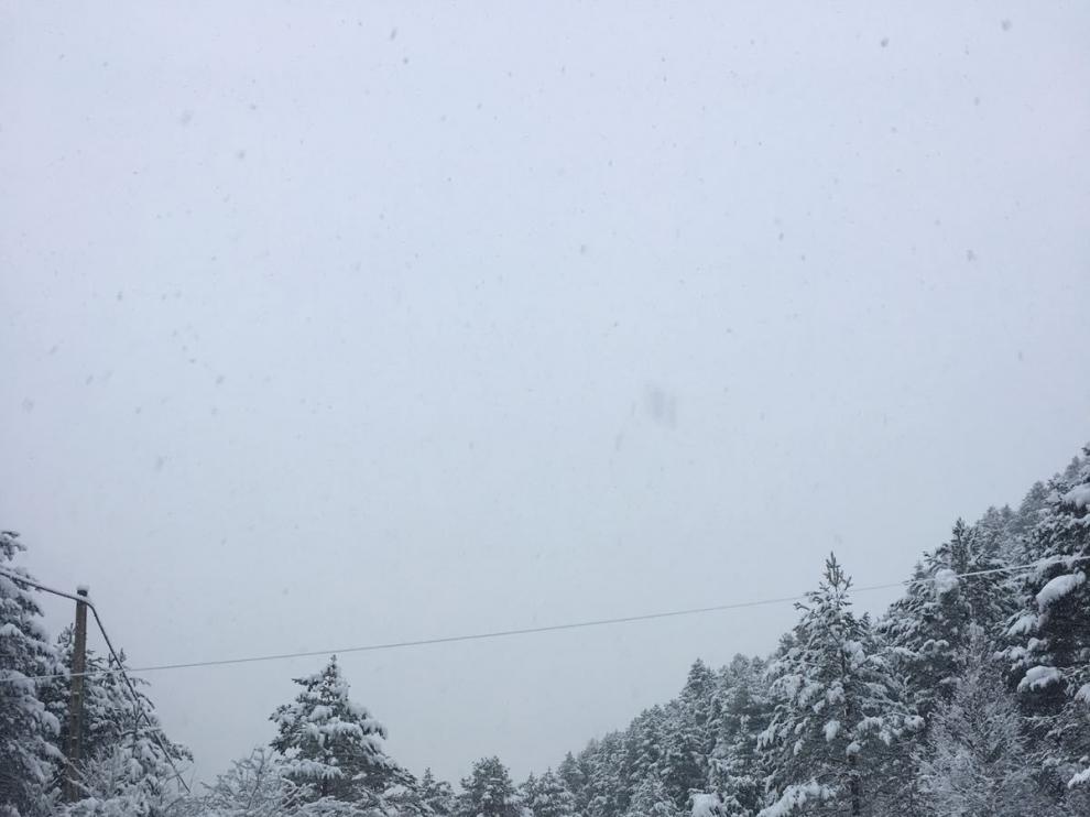 Ruta escolar en el valle de Pineta, hace dos semanas.