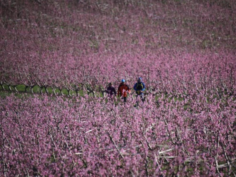 Senderistas atravesando los campos de frutales.