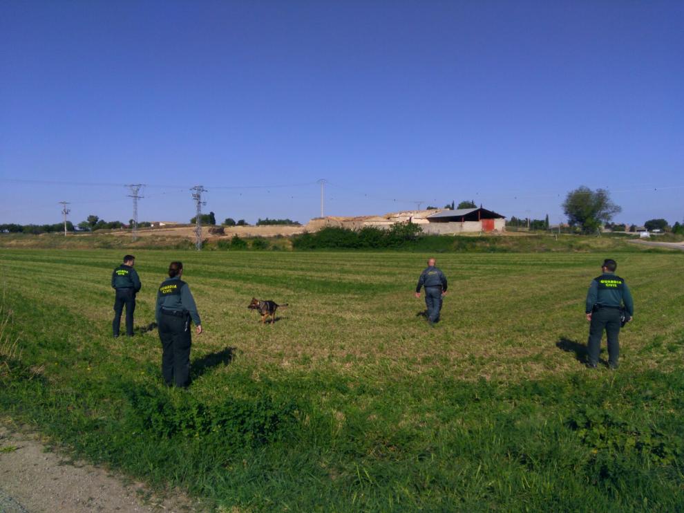 Un momento de la búsqueda efectuada por la Guardia Civil en los días inmediatamente posteriores a la desaparición Nieto.