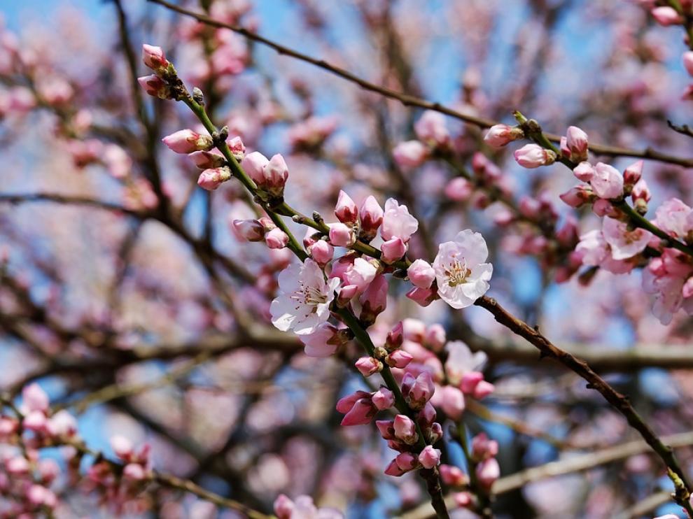 Conocida como la 'estación del amor', la primavera marca el inicio del buen tiempo y es una estación en la que sentirnos más positivos y con más energía.