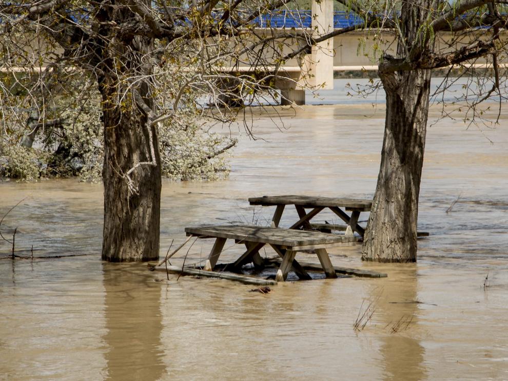 El entorno del Camino Natural del Ebro amaneció ayer inundado en Novillas.