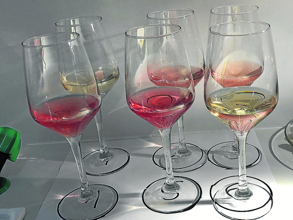 Muestra de algunos de los vinos elaborados con las variedades recuperadas.