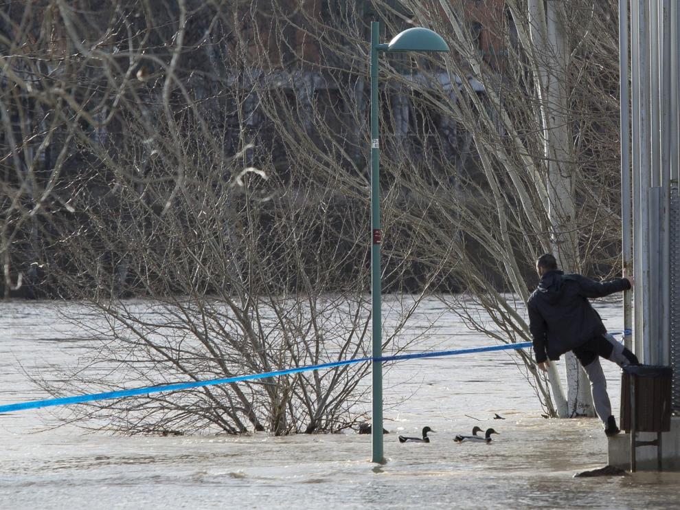 Crecida del río Ebro a su paso por Zaragoza
