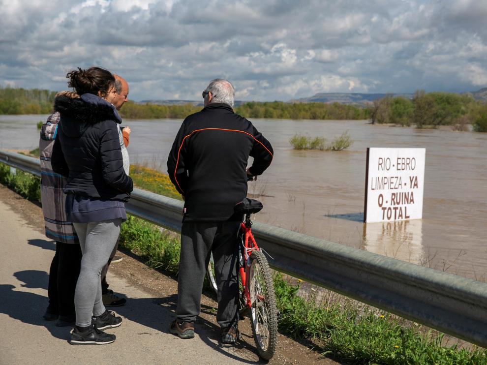 El Ebro a su paso por Novillas este viernes.