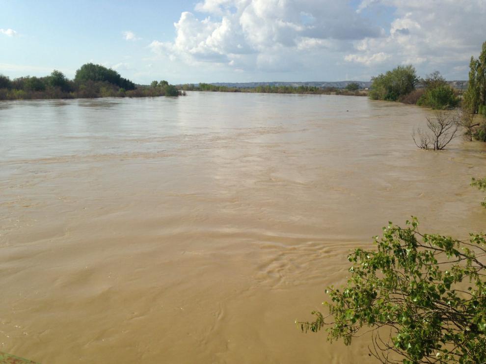El Ebro a su paso por Pina ha anegado cientos de hectáreas