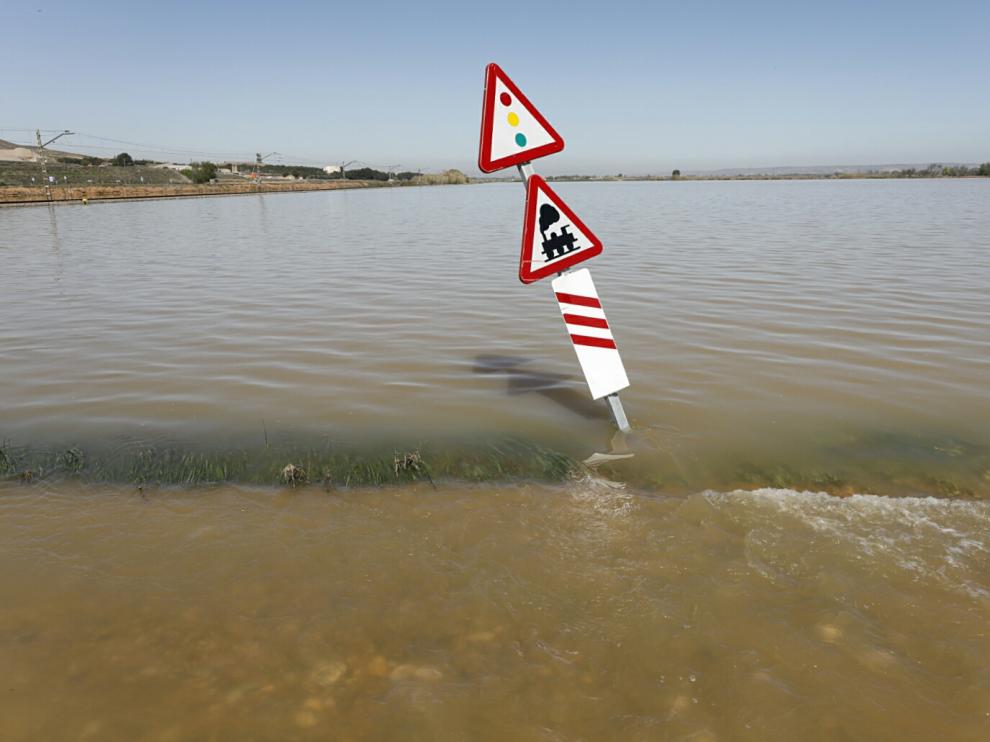 Aspecto que presentaba la ribera baja del Ebro, en Quinto, tras la última crecida del Ebro