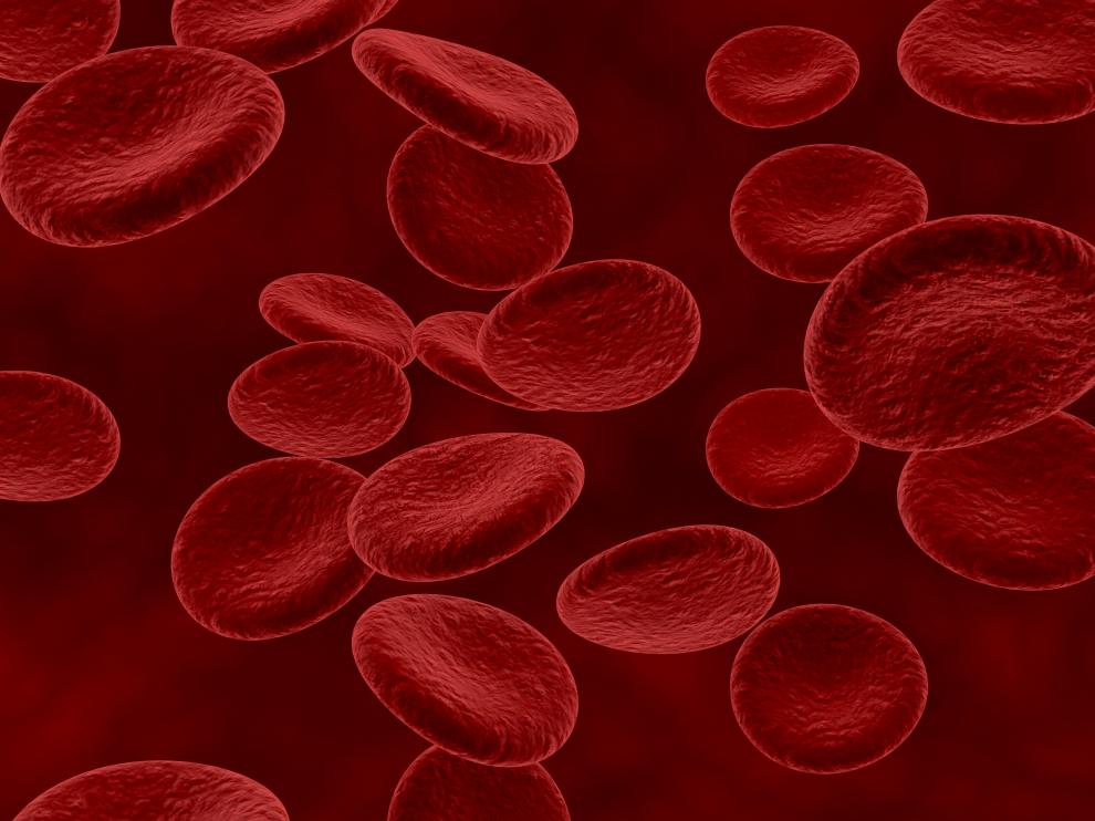 La hemofilia se caracteriza por un defecto de la coagulación de la sangre