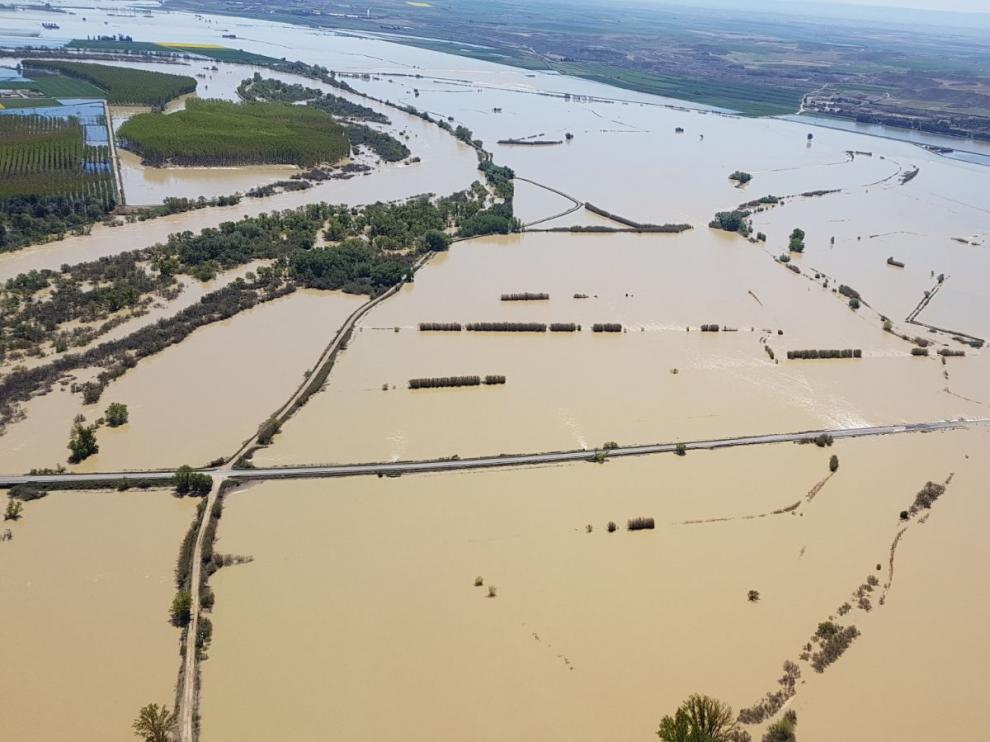 La crecida ha anegado miles de hectáreas en el entorno de Pina de Ebro