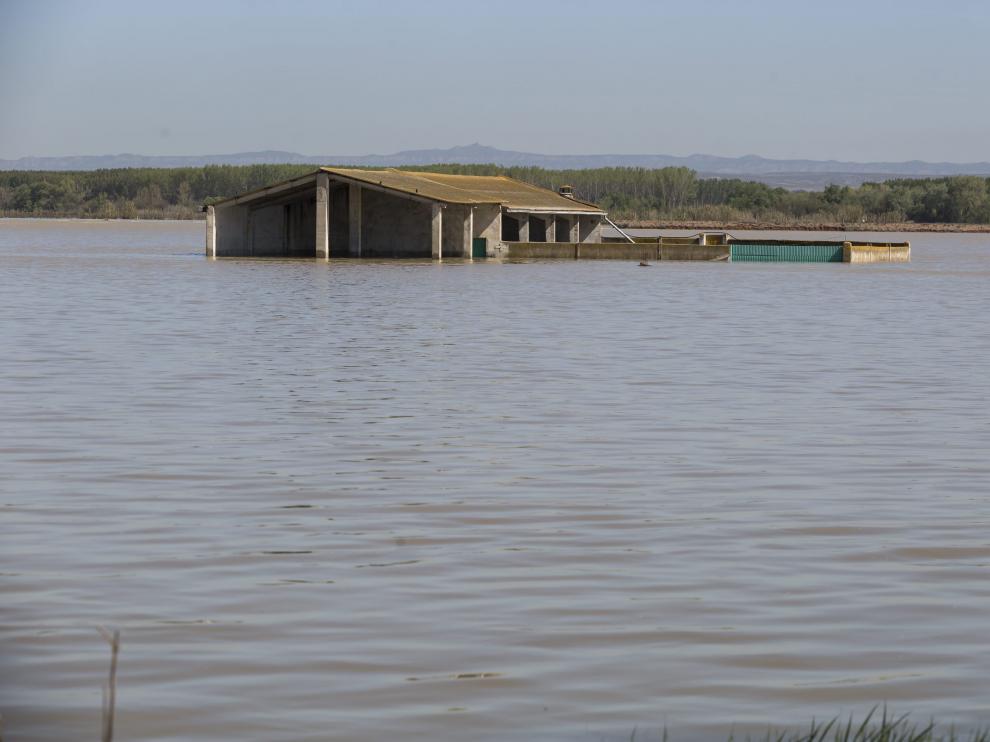 Una explotación ganadera de Quinto, este martes, todavía anegada por el agua.