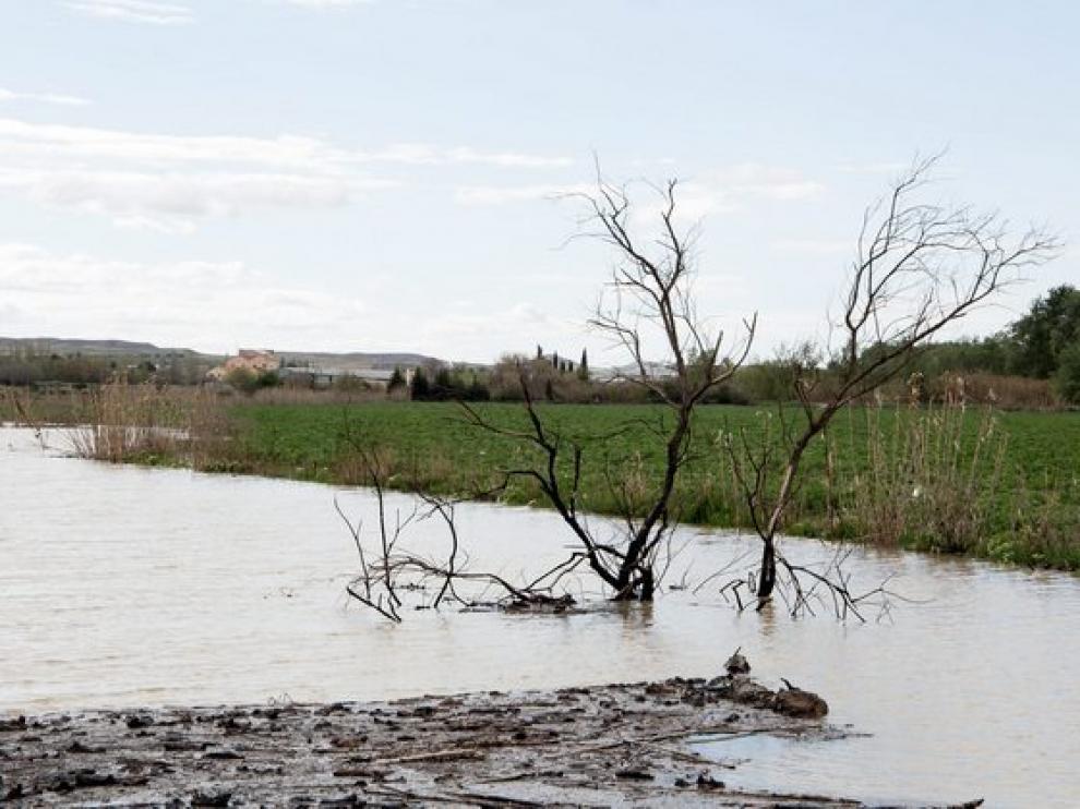 Crecida del río Ebro a su paso por Quinto