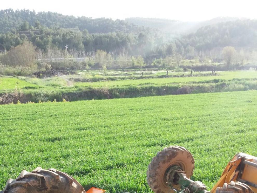 El joven ha fallecido al quedar atrapado bajo su tractor