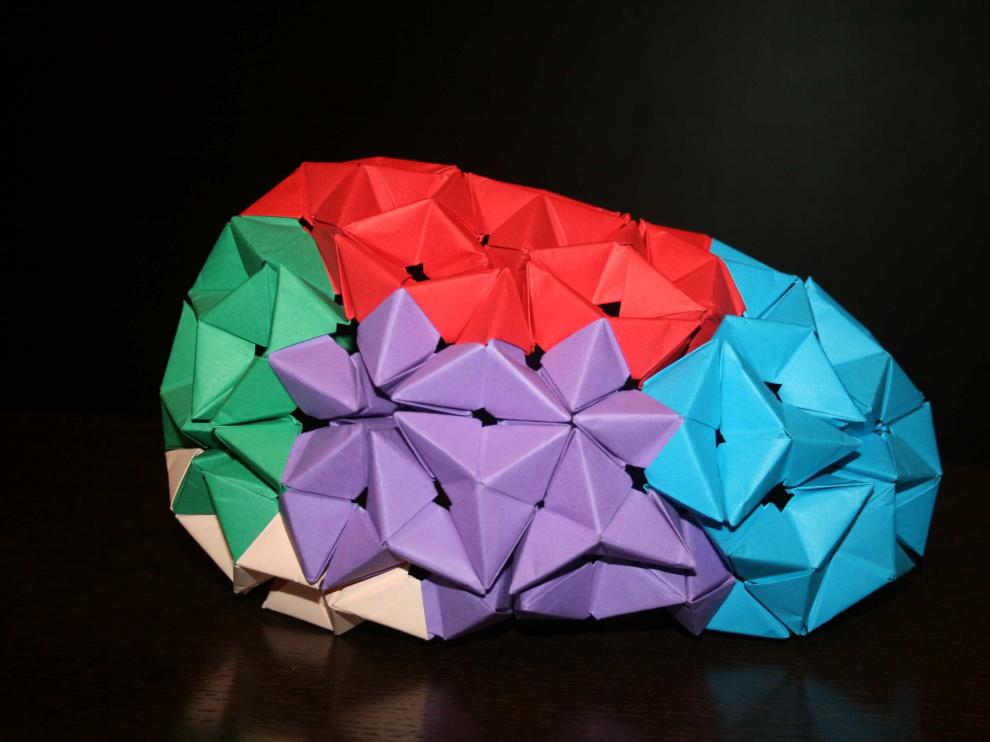 Cerebro de origami plegado colectivamente con el Grupo Zaragozano de Papiroflexia durante las jornadas 'Comunicar la neurociencia'