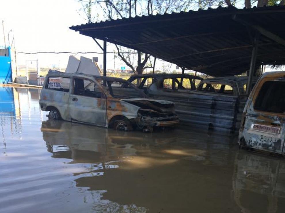 El Centro Canino Aragonés, anegado por el Ebro un mes después de sufrir un incendio