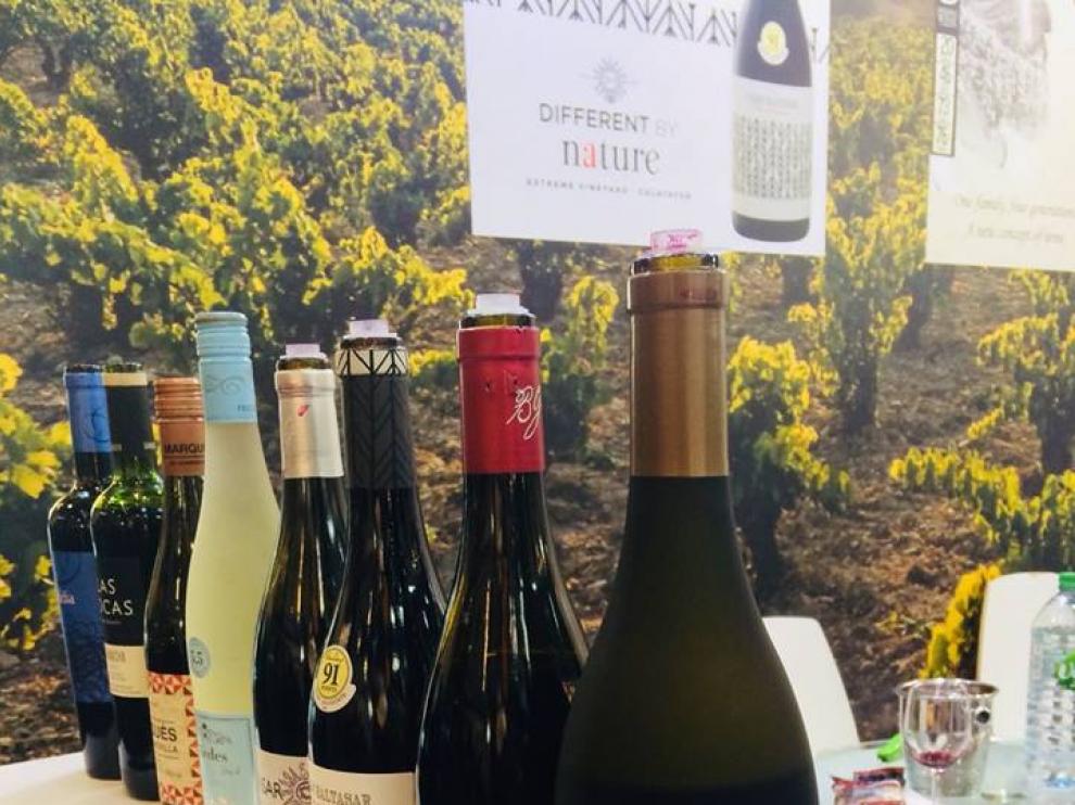 Algunos de los vinos que salen de Bodegas San Alejandro.