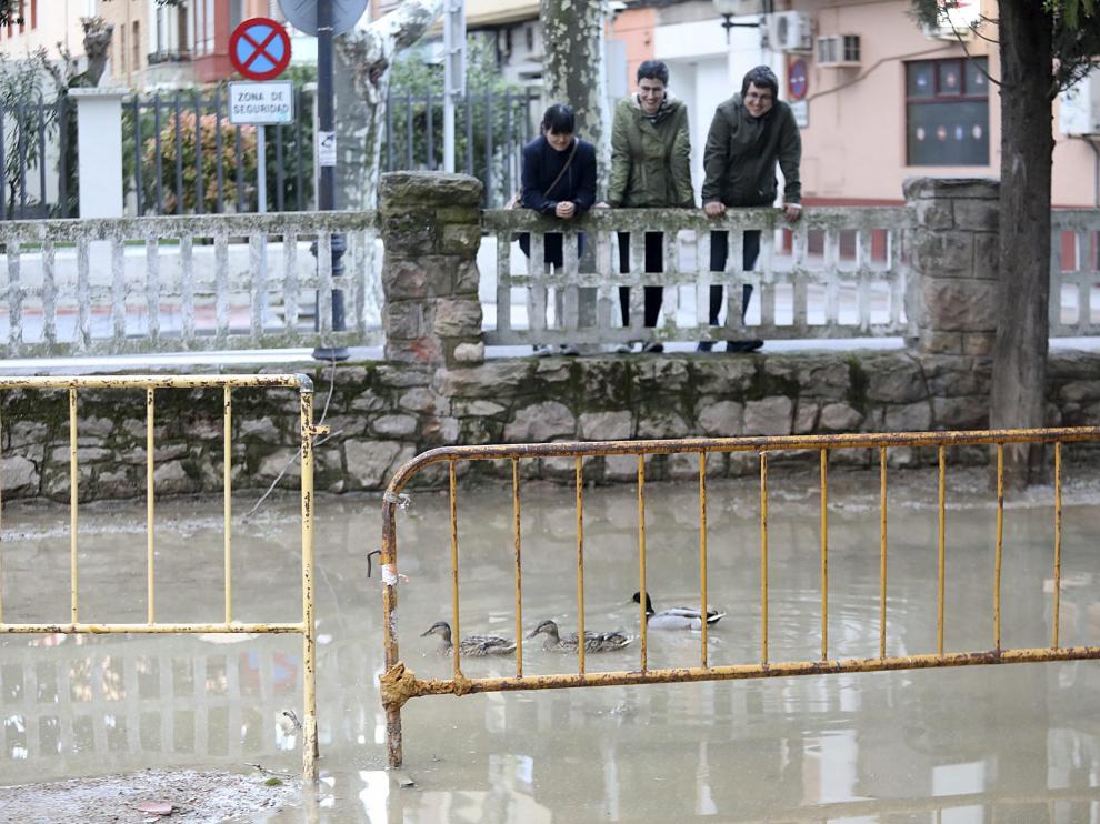 El parque de Huesca se convirtió en un estanque. Los patos del parque Miguel Servet confundieron este domingo los charcos formados en la zona verde con un estanque, para diversión de los viandantes. El agua hizo impracticable el acceso por Vicente Campo debido al embalsamiento por la lluvia.