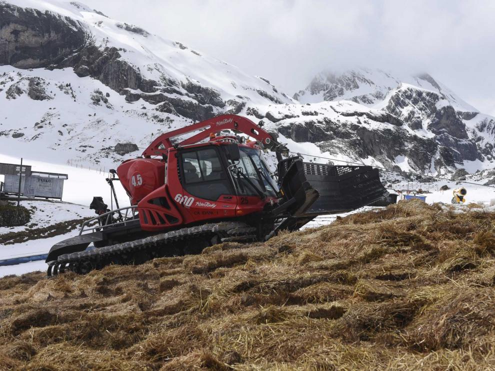 Las máquinas pisapistas compactaban este lunes en Candanchú la paja que cubre la nieve una vez apilada.