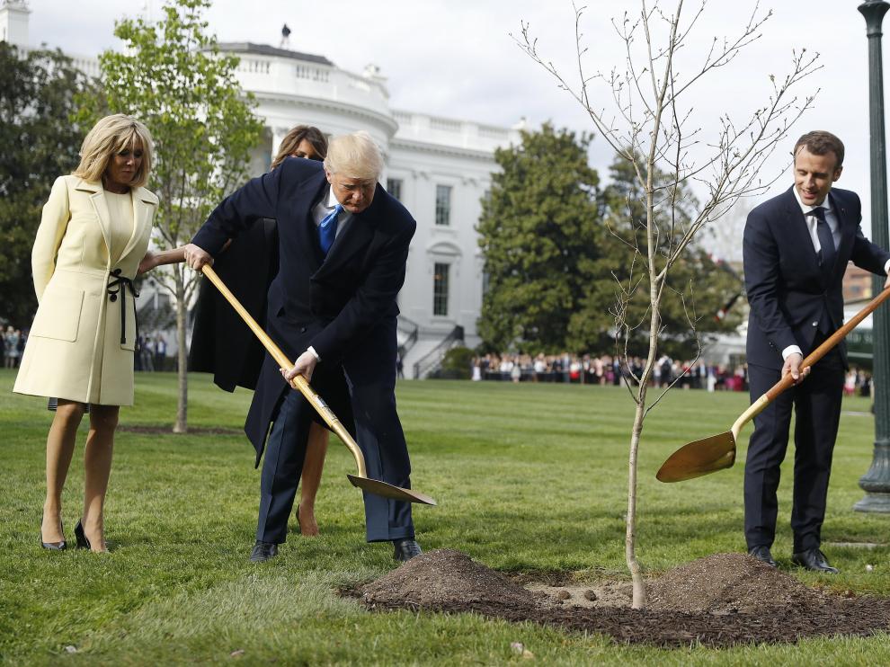Trump y Macron plantando el árbol con el que el mandatario francés le obsequió en su visita de Estado.