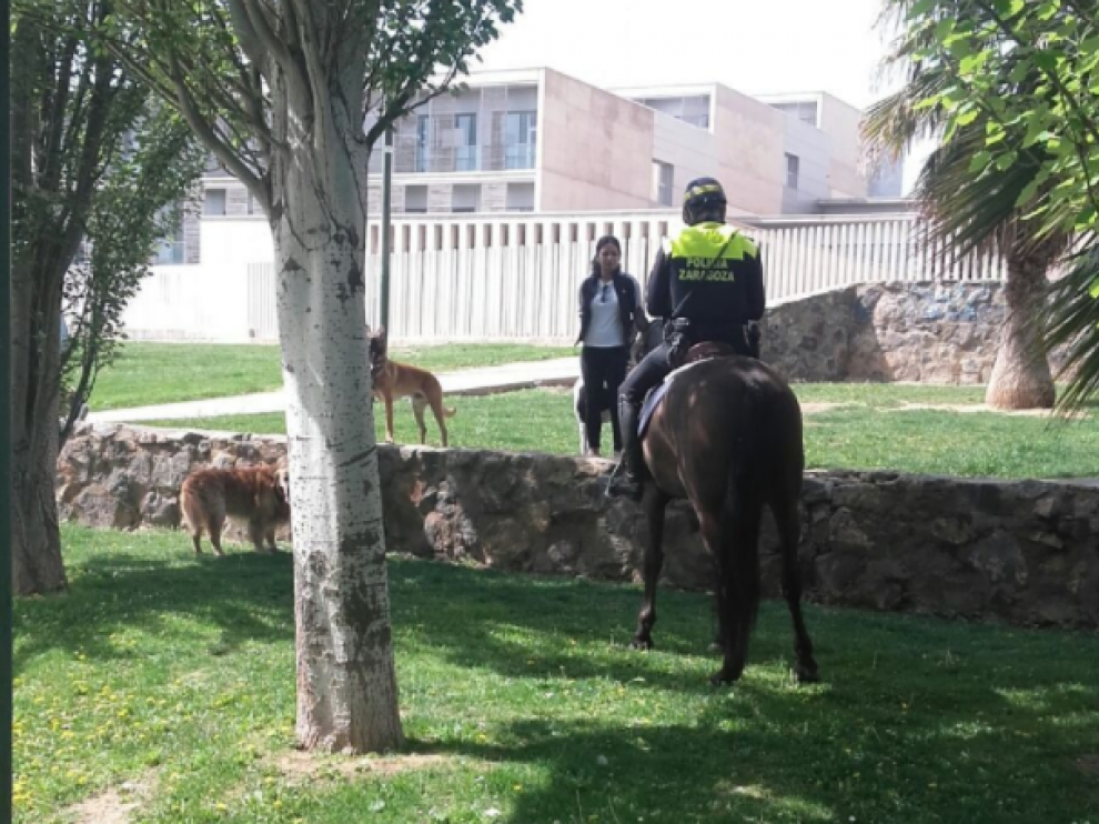 Un agente de la Unidad de Caballería en una zona verde zaragozana