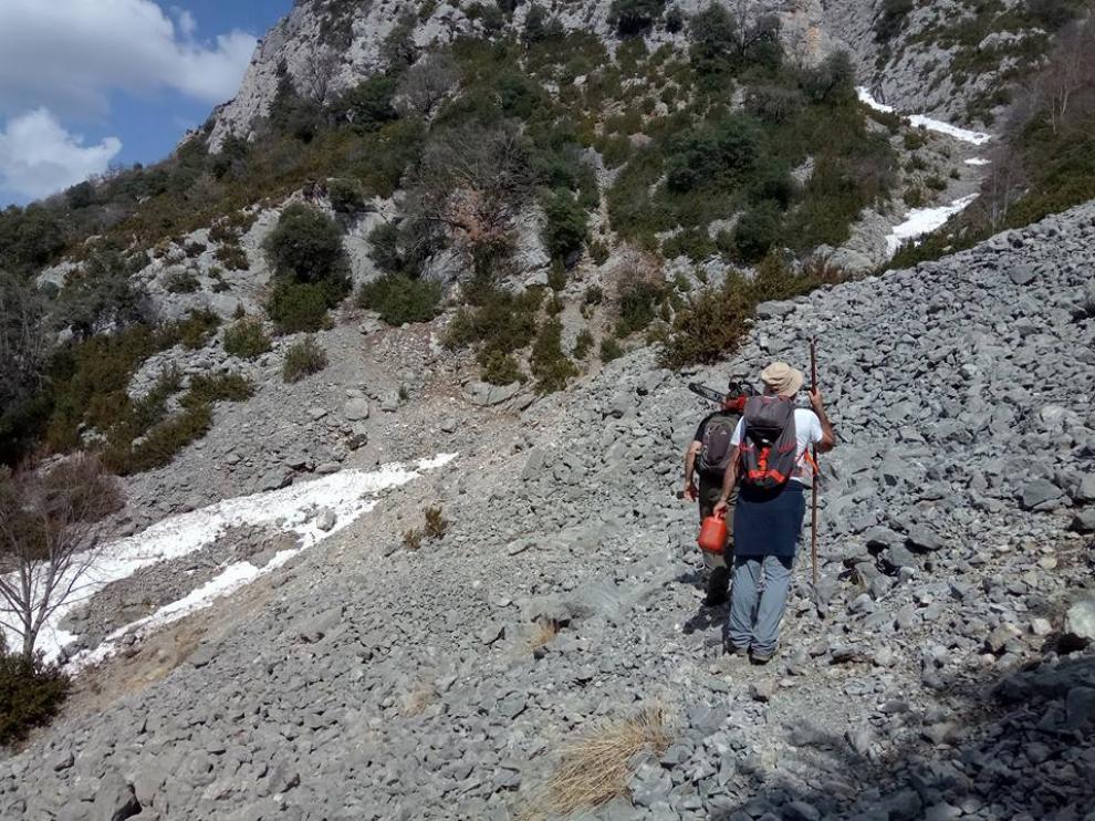 Varios voluntarios durante la limpieza de uno de los caminos impulsados por la donación de Tronzadora, el que va de La Cuenga a Sanzuelo, en Saravillo (Huesca).