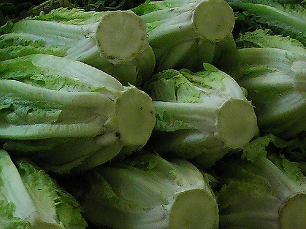 El brote de 'E. coli' se ha vinculado a las lechugas cultivadas en Yuma, Arizona.