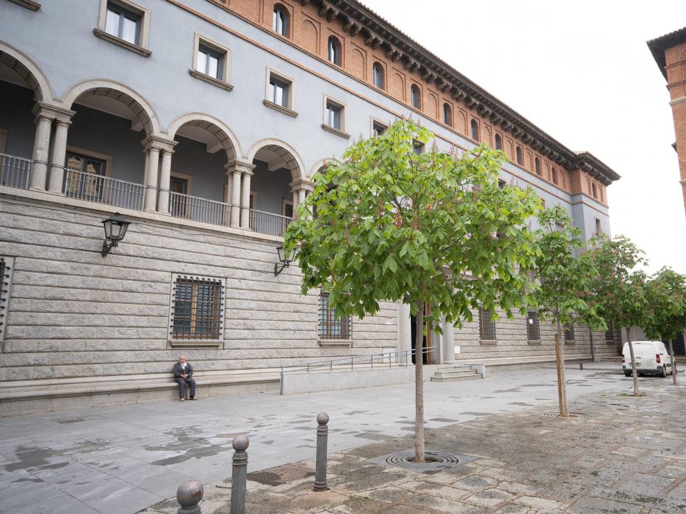 Algunos de los pocos árboles del Centro Histórico están en la plaza del Seminario.