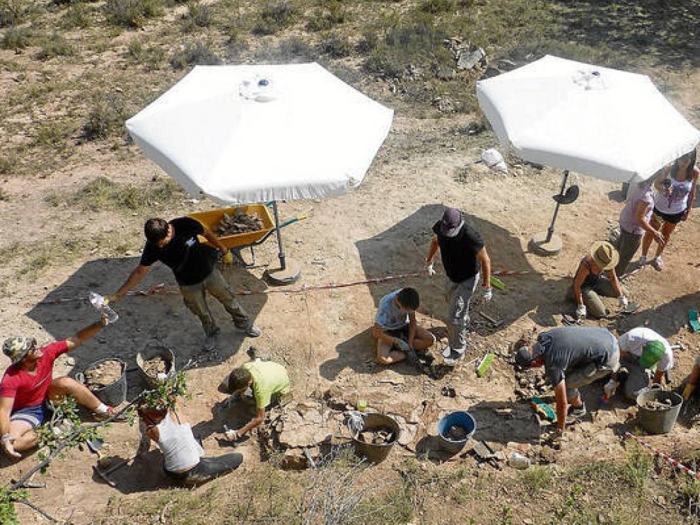 Excavaciones realizadas en yacimientos de El Castellar.