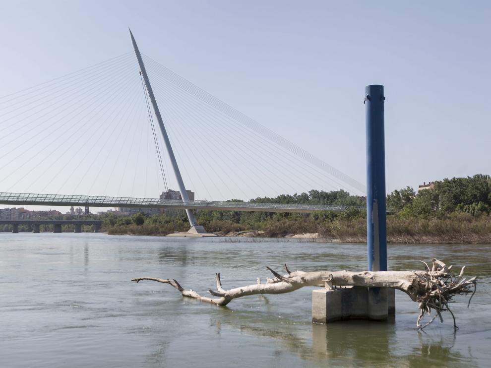 Los grandes troncos que arrastró el río siguen todavía en el entorno de la Expo