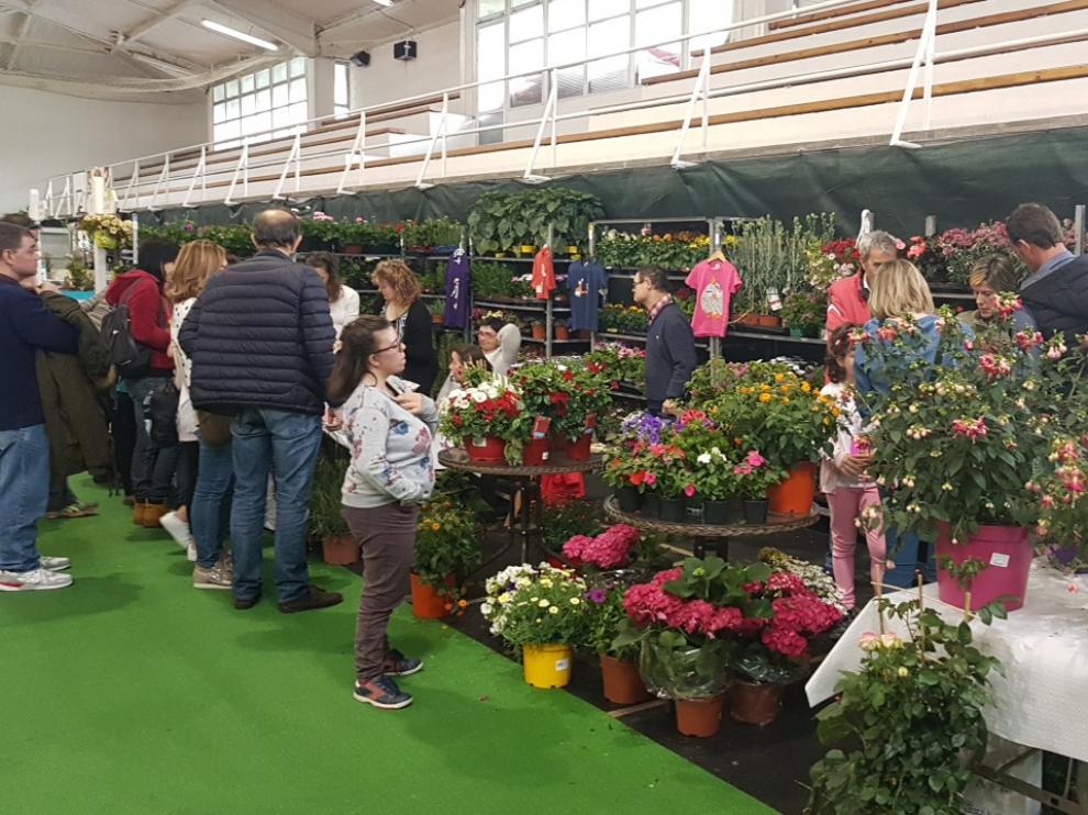 Expositores de flores y plantas en la Feria de Primavera de Biescas