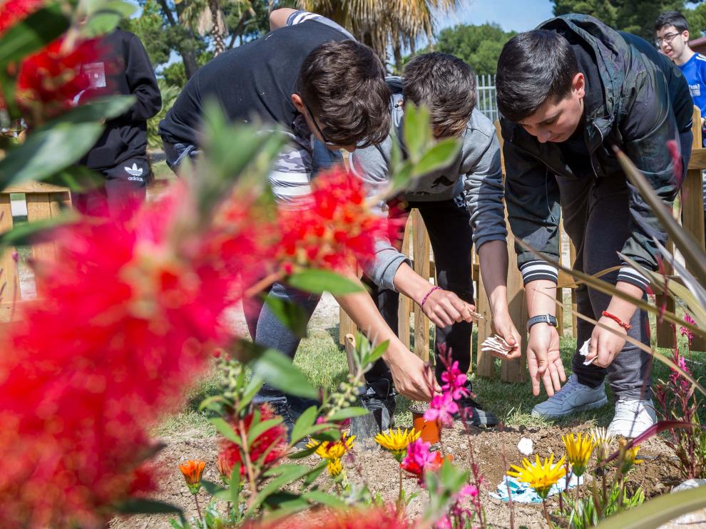 Inicio de la campaña #YoLeoEnZaragoza, en el Jardín de Historias