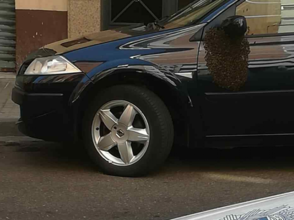 Imagen del enjambre de abejas en el retrovisor de un coche estacionado.