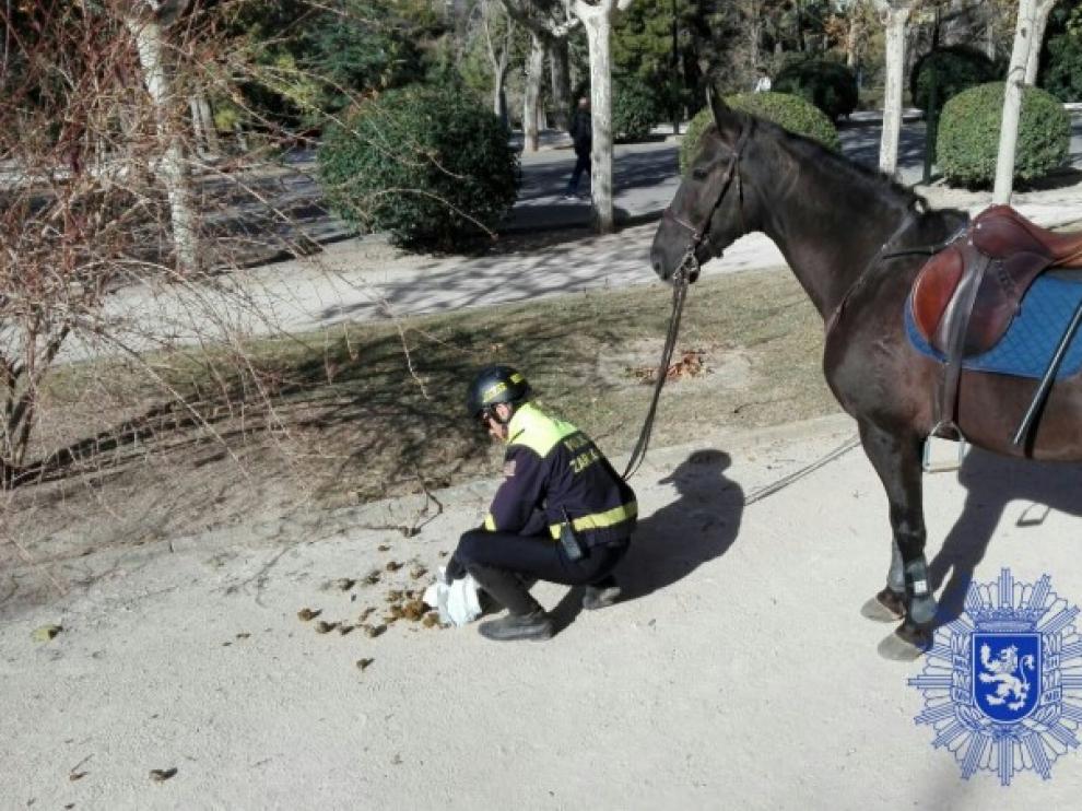 La Policía de Zaragoza da ejemplo recogiendo unas cacas... de caballo
