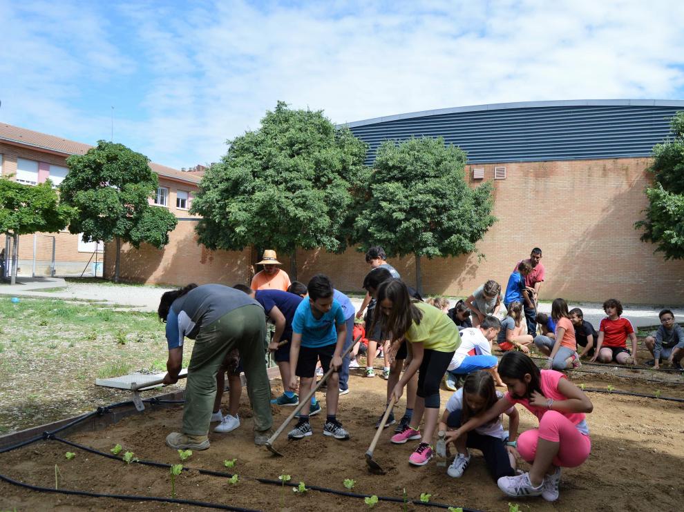Escolares de Pedro J. Rubio trabajan en el huerto con ayuda de usuarios de Atades y de la Fundación Agustín Serrate.