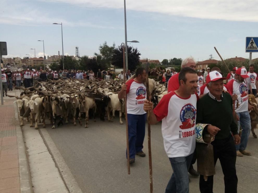 Medio centenar de manifestantes "por la defensa de la ganadería extensiva" frente al lobo