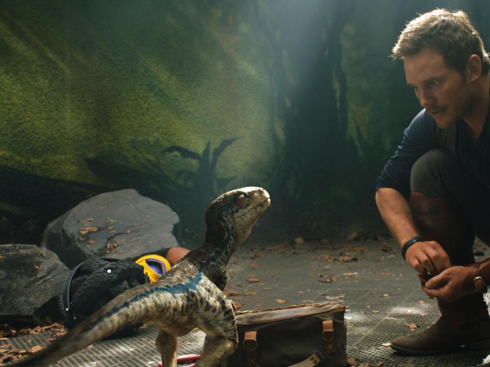 Owen Grady, interpretado por Chris Pratt, con Blue, la 'velocirraptor'.