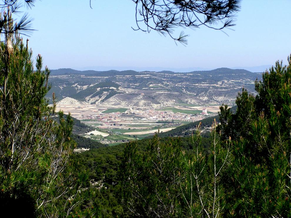 Castejón de Valdejasa está rodeado de un bosque que renace de las cenizas tras el grave incendio sufrido en 2008
