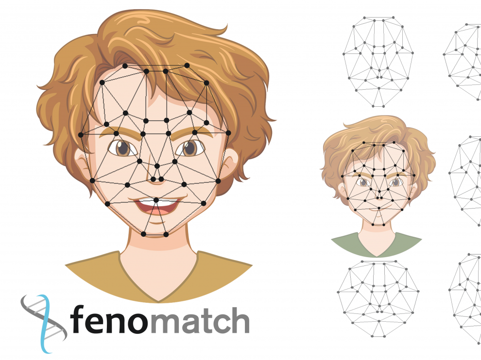 Fenomatch mide sobre fotografías las distancias que separan los distintos puntos biométricos