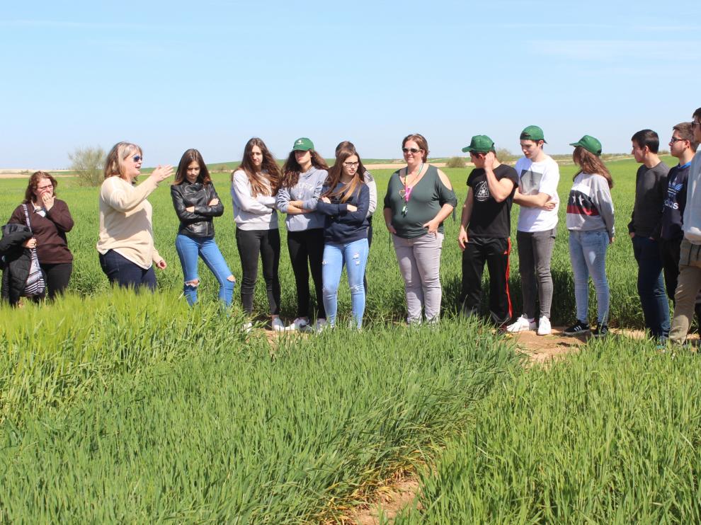 Visita a los campos de ensayo de semillas de Agromonegros.