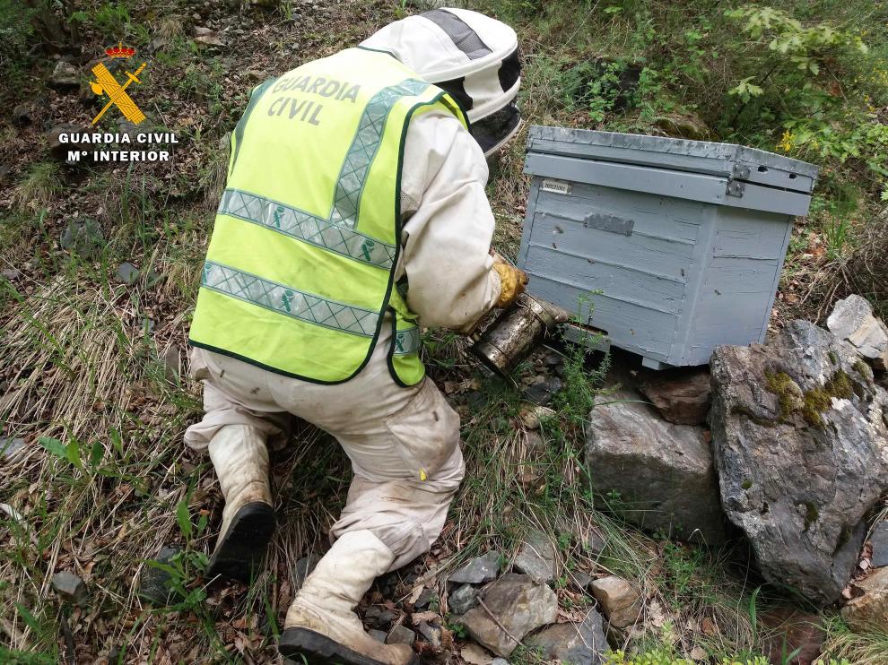 Uno de los agentes inspecciona una colmena.