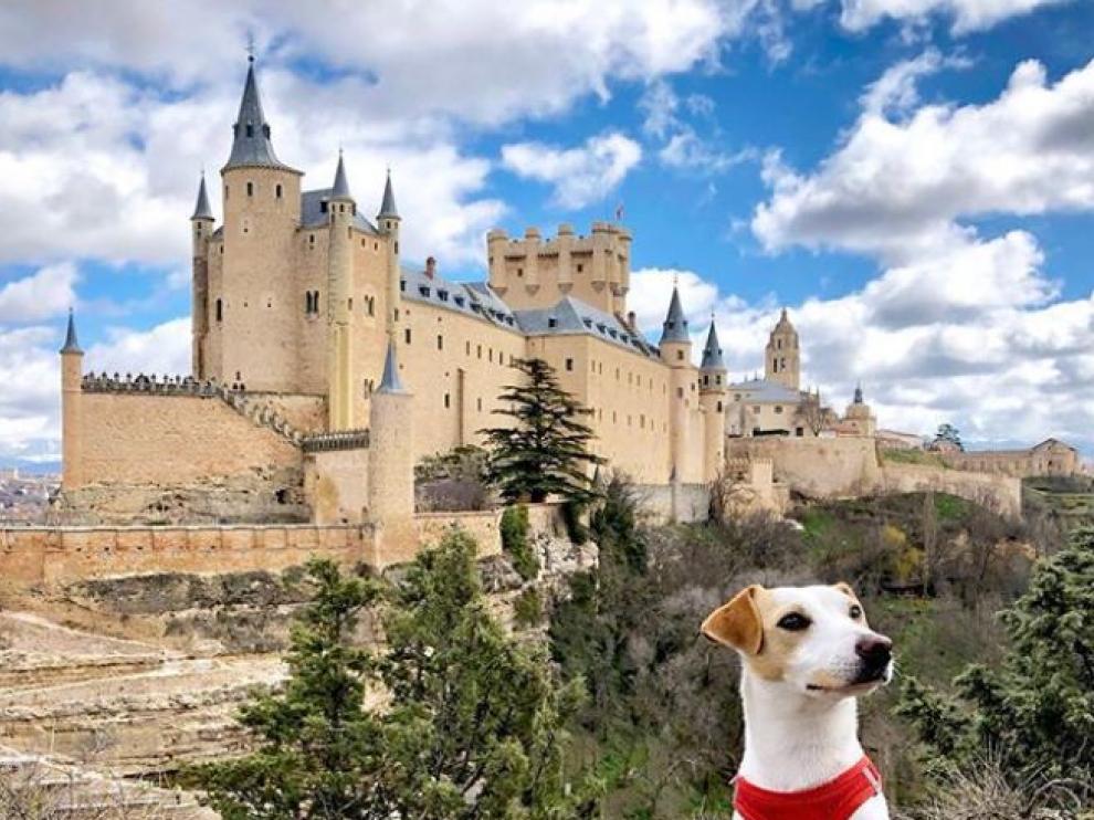 ¿Cuál será su próximo destino?