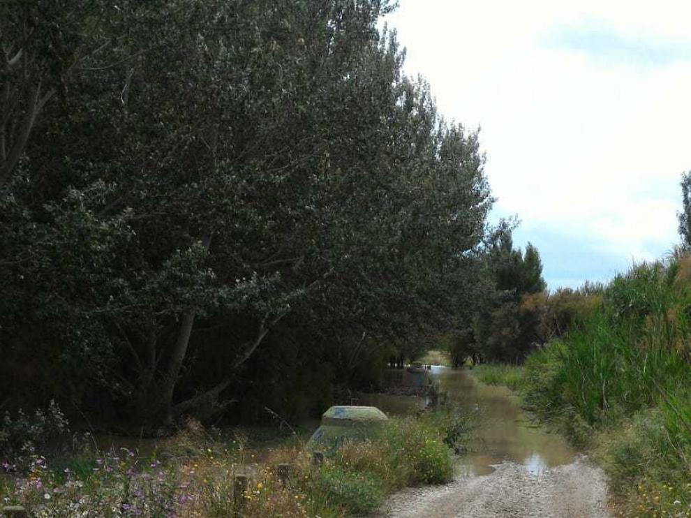 Uno de los caminos cortados cercanos al río Gállego