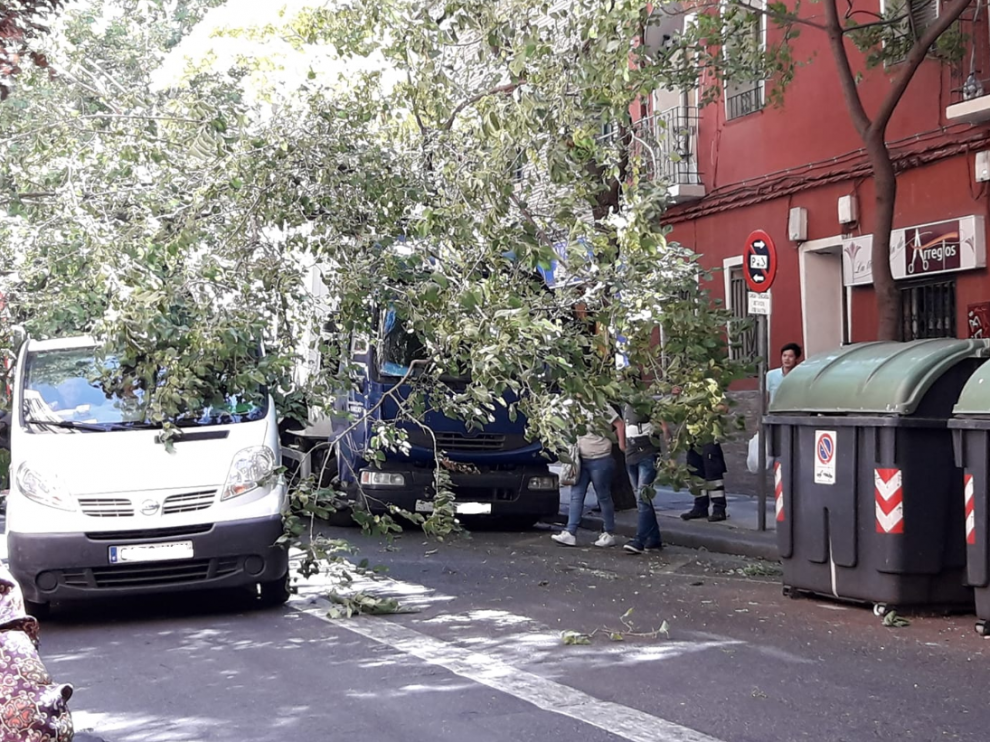 Imagen del camión y el árbol en cuya rama se ha enganchado.